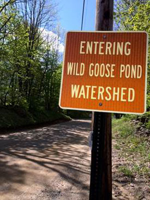 Pittsfield Wild Goose sign.png